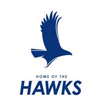 blue hawk